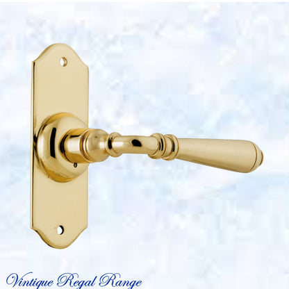 Karori elegant Polished Brass lever door handle-Vintique Concepts