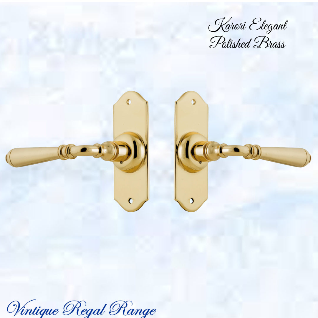 Karori elegant Polished Brass lever door handle-Vintique Concepts