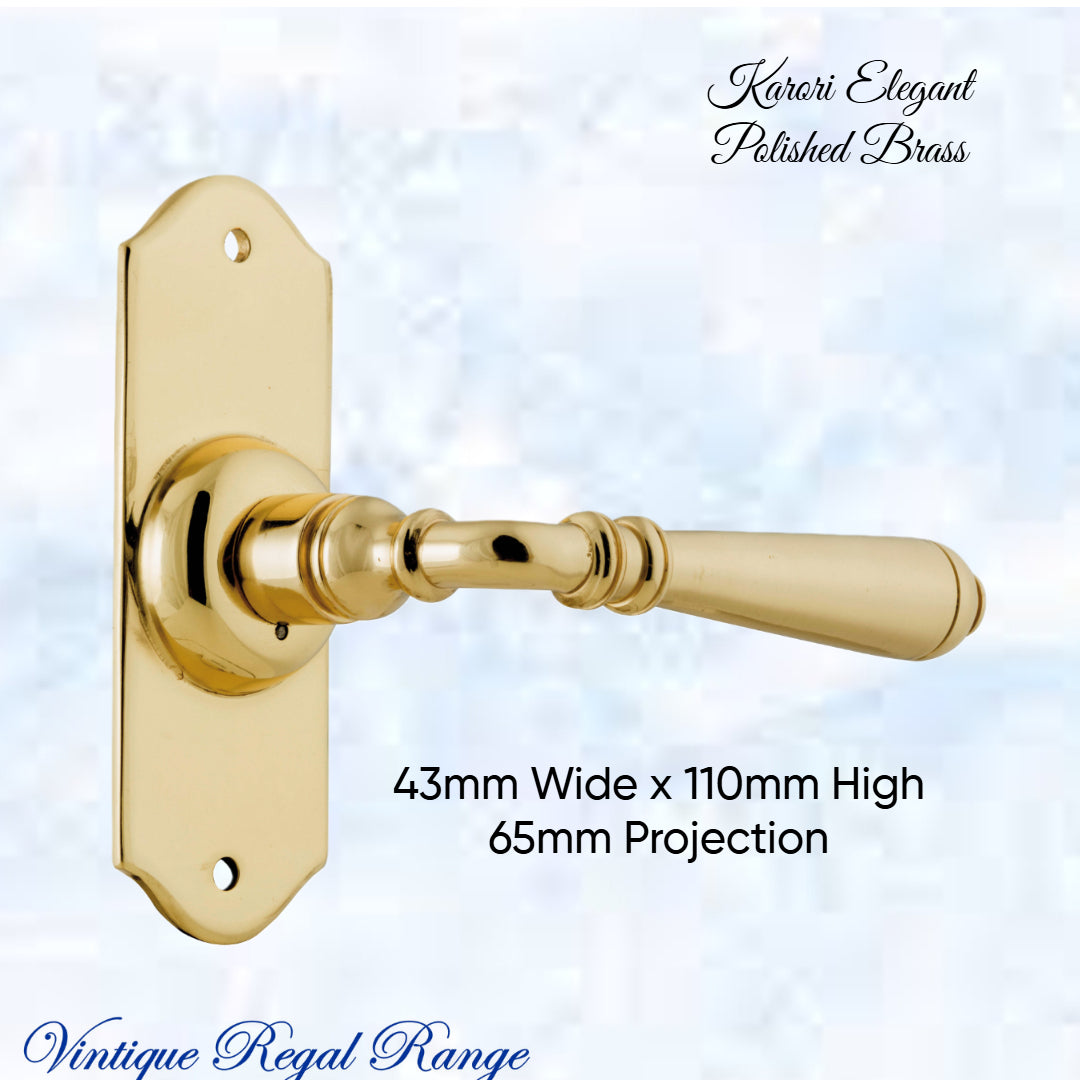 Karori elegant Polished Brass lever door handle-Vintique Concepts