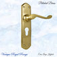 Polished Brass Royal Wave lever door handle 200mmx45mm (4 types)-Vintique Concepts