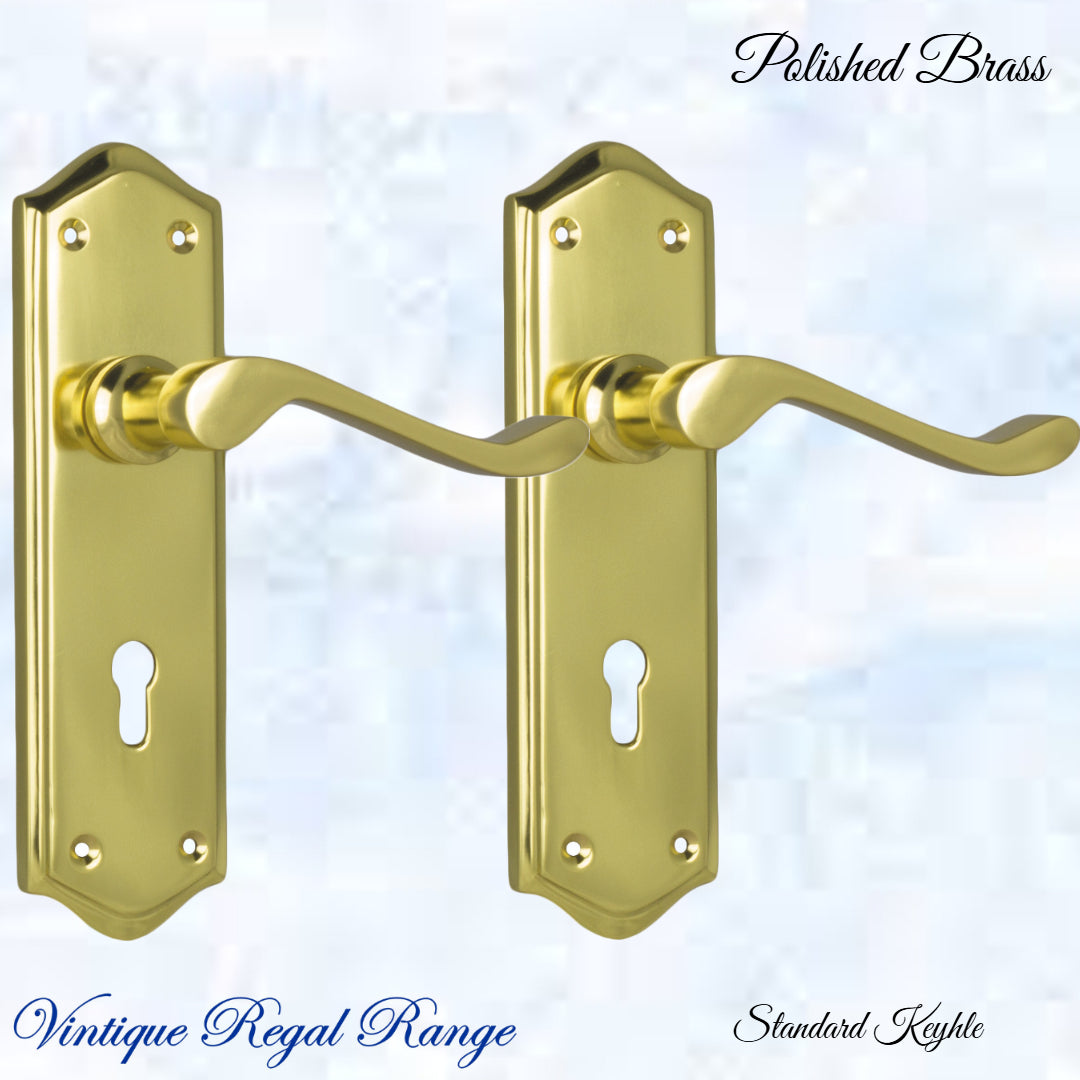 Polished Brass PARNELL lever door handle 180mm x 50mm-Vintique Concepts