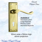 Polished Brass Avonside lever door handle 152x 50mm (4 types)-Vintique Concepts