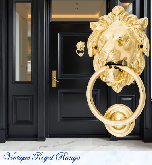 Polished Brass Lion Head door Knocker 100mm ring-Vintique Concepts