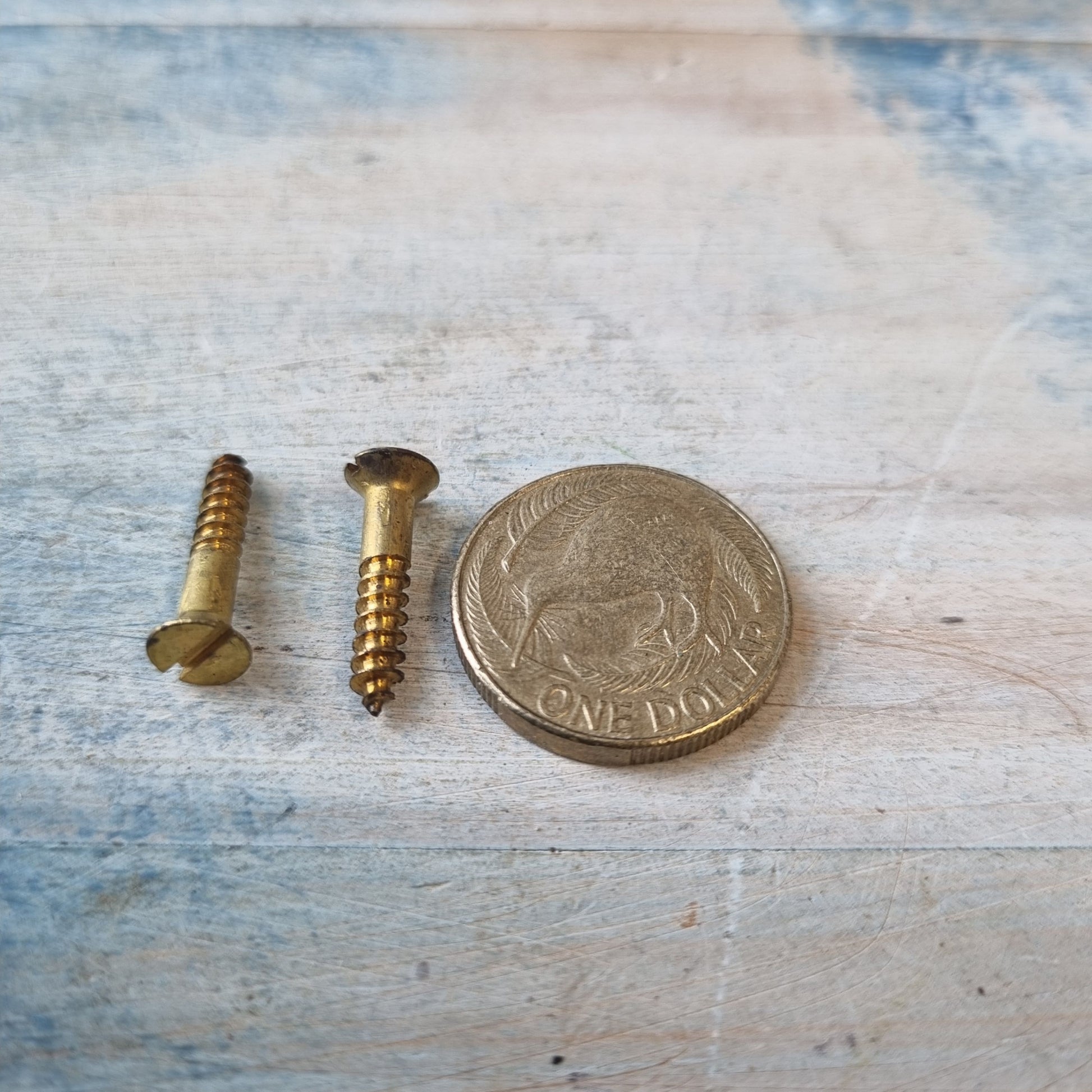 Antique Solid Brass wood screws 3/4''(19.05mm) 6 gauge (pkt20)-Vintique Concepts