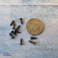 Anodised Bronze wood screws 10mm (packet of 10)-Vintique Concepts