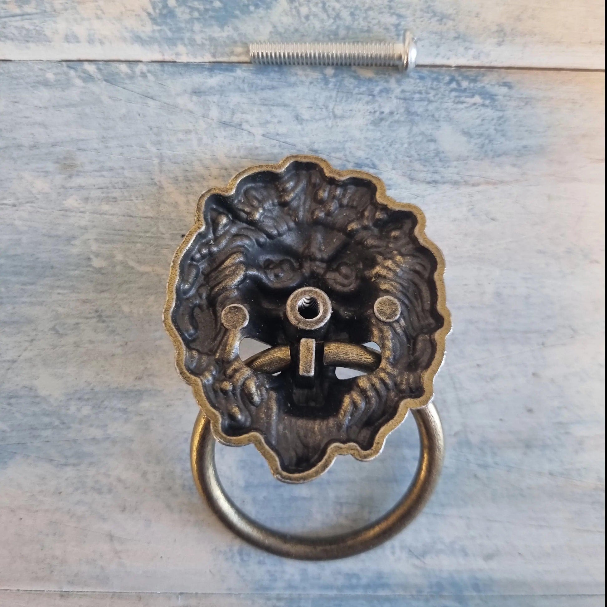 Lion Head Ring Pull Bronze- dresser nz