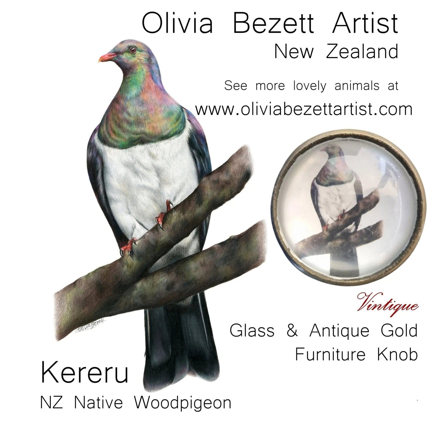 Olivia Bezett's Kereru Native Bird antique Gold furniture Knob-38mm dia-Vintique Concepts