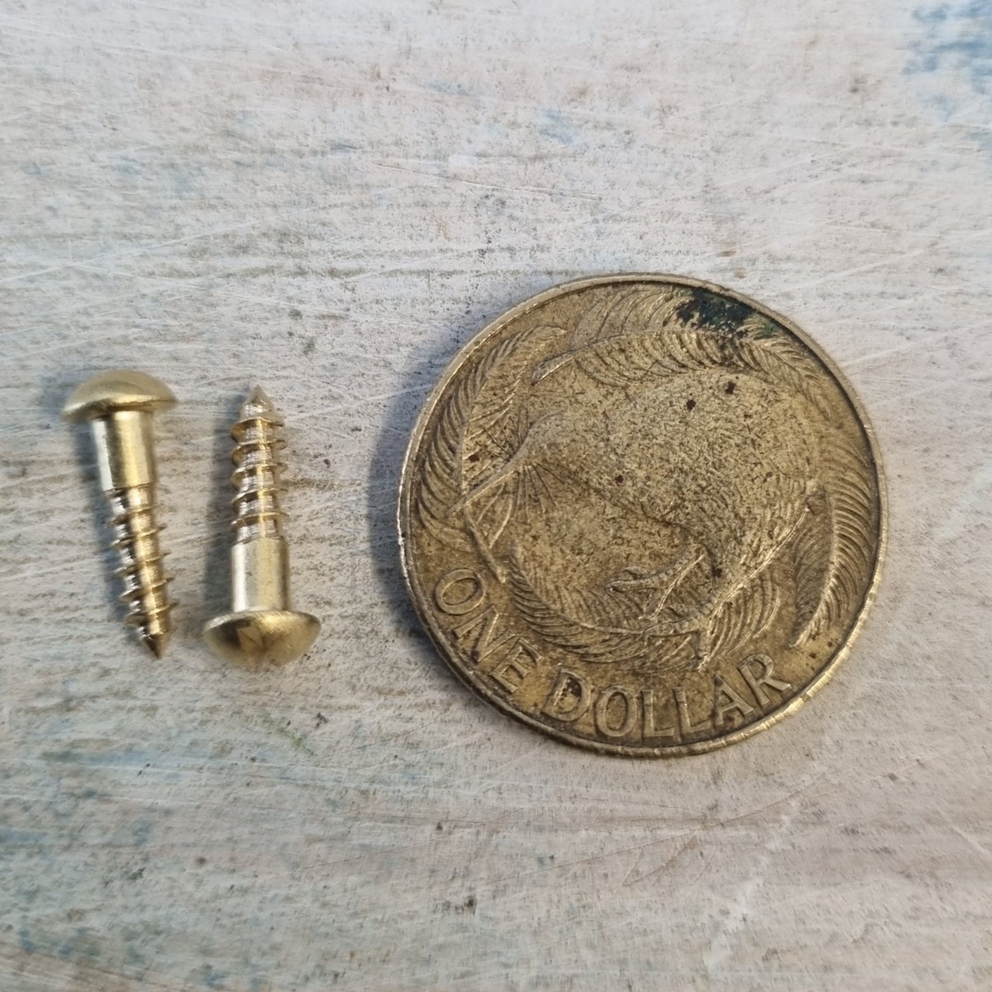 Hardware - Round Head Slot Solid Brass Wood Screws 12mm 5 Gauge (pkt 10)