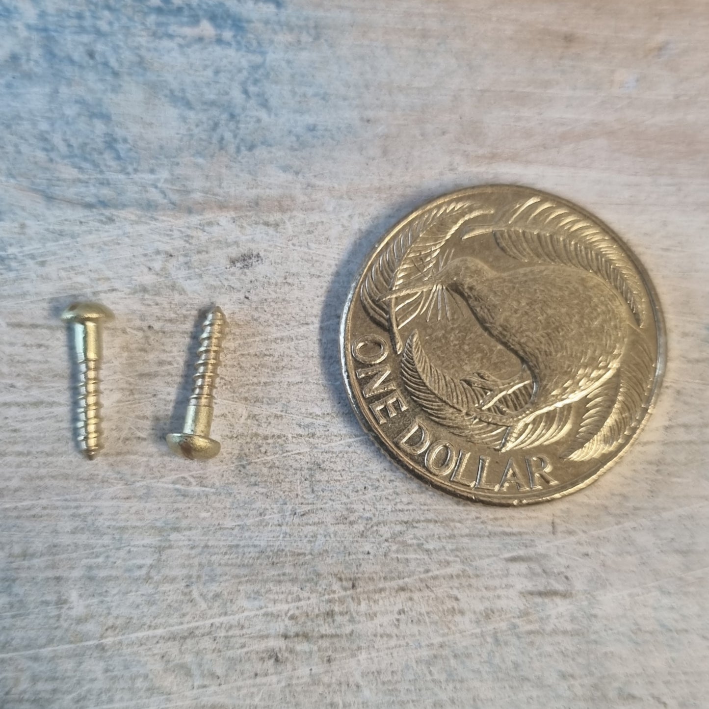 Hardware - Round Head Slot Solid Brass Wood Screws 10mm (M2) (pkt 10)