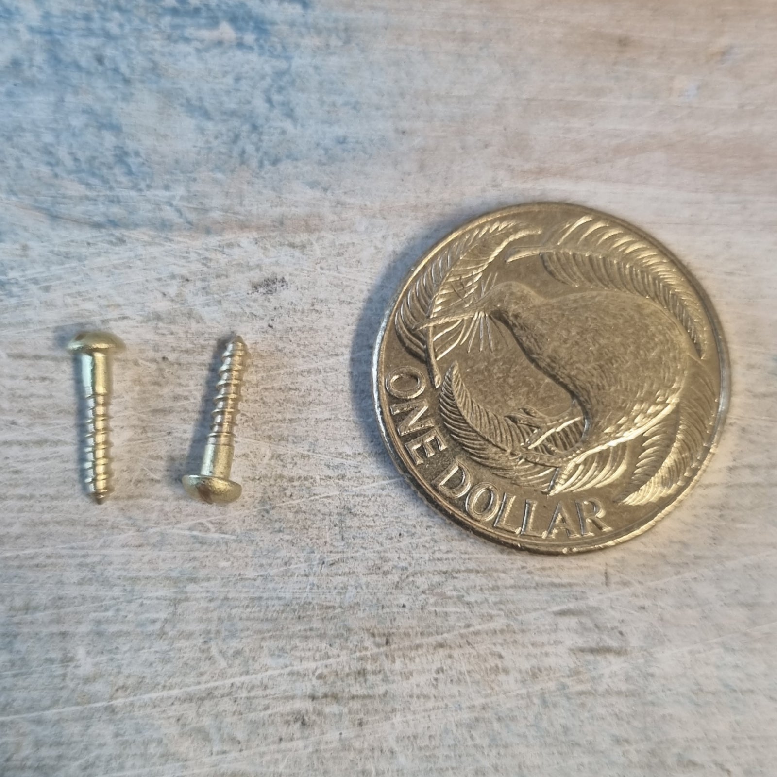 Hardware - Round Head Slot Solid Brass Wood Screws 10mm (M2) (pkt 10)